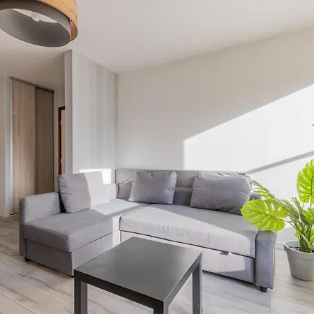 Le Petit Taison - Hyper Center