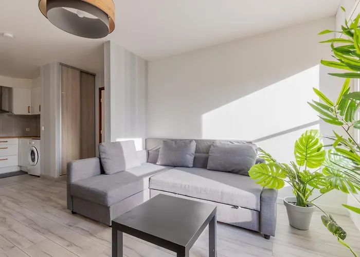 Le Petit Taison - Hyper Center